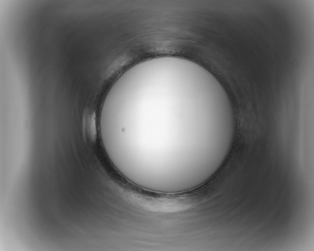 X0000103910020200809261619