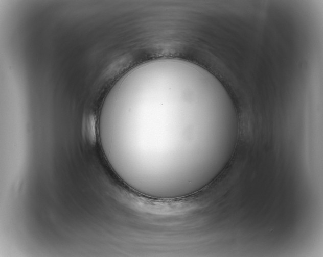 X0000103910022200809261619