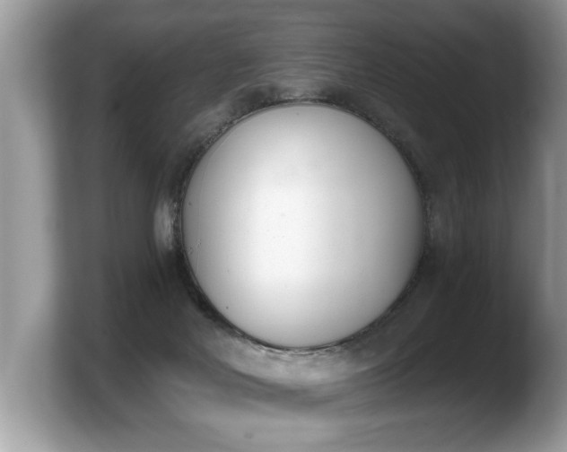 X0000103910026200809261619