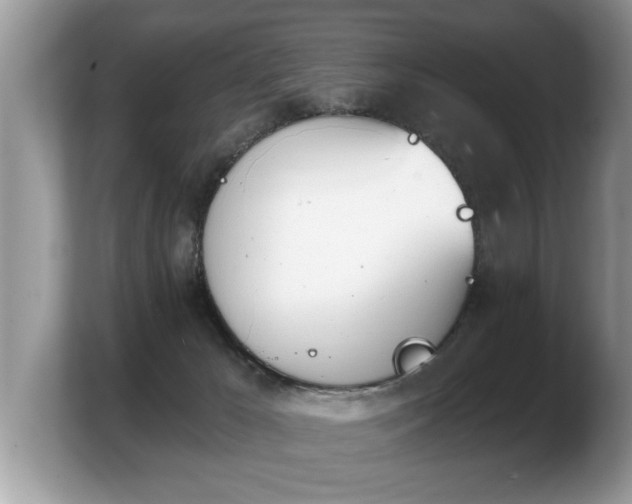 X0000103910029200809261619