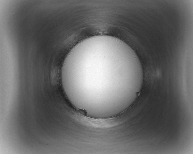 X0000103910030200809261619