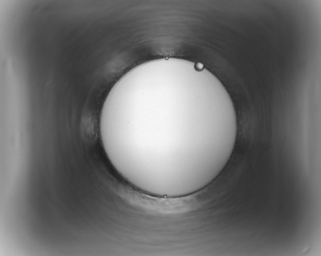 X0000103910031200809261619