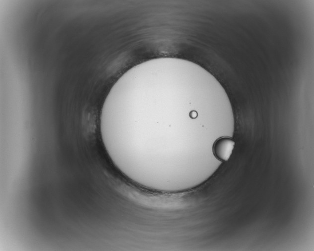 X0000103910032200809261619