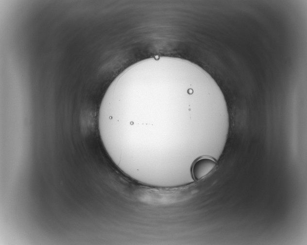 X0000103910033200809261619