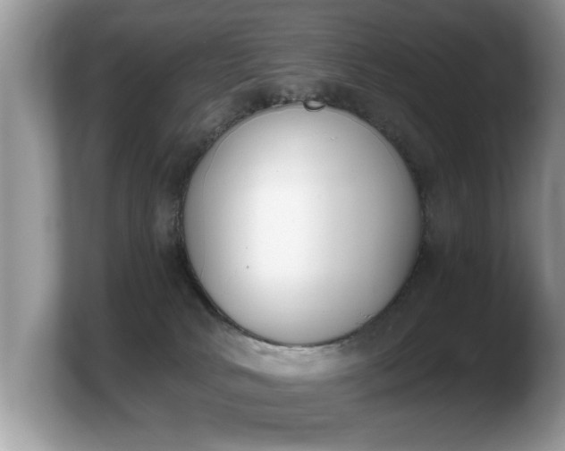 X0000103910034200809261619