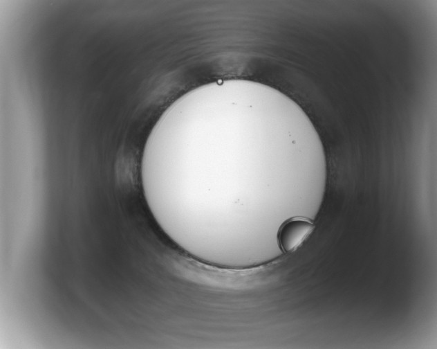 X0000103910035200809261619