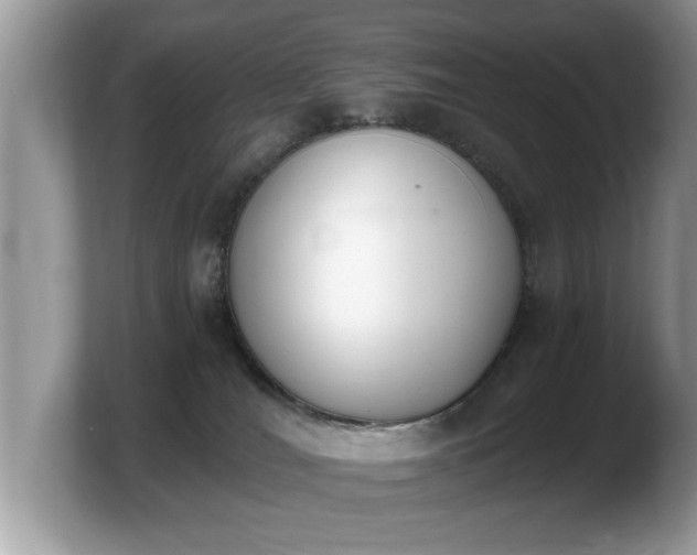 X0000103910036200809261619