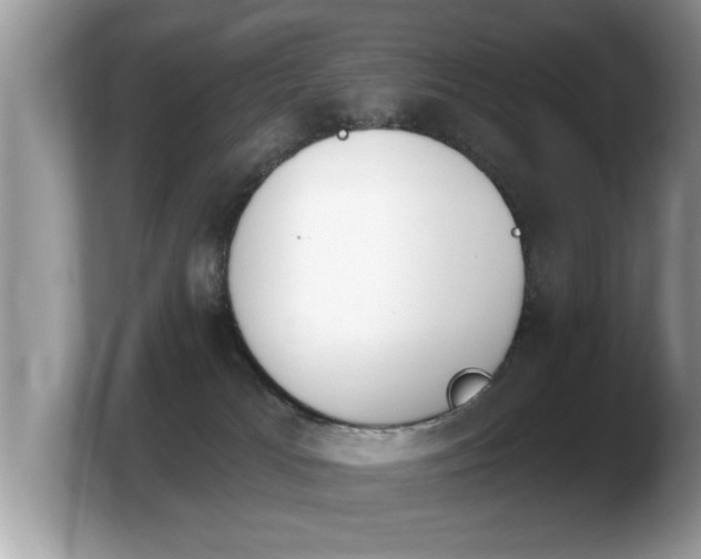 X0000103910037200809261619
