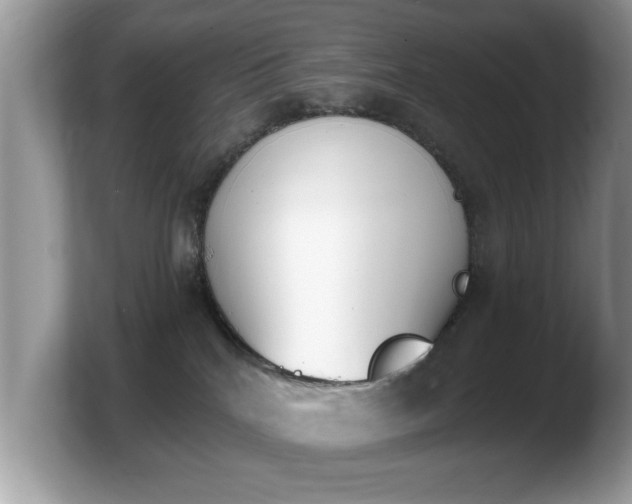 X0000103910040200809261619