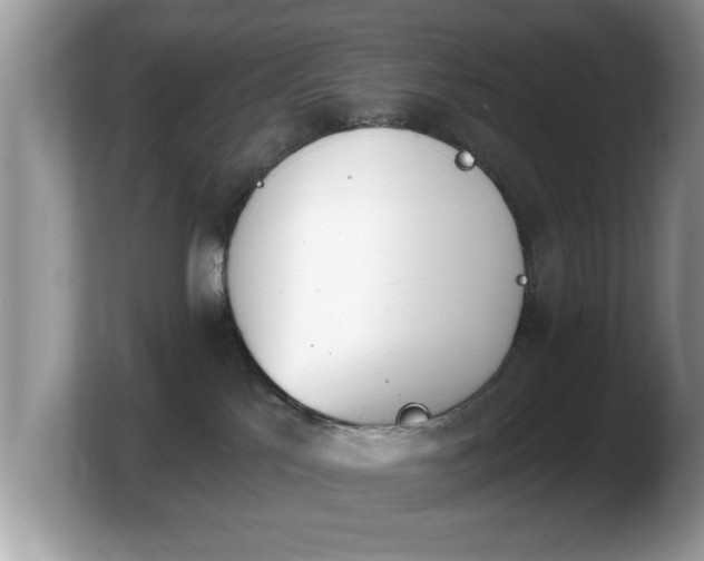 X0000103910041200809261619