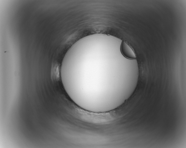 X0000103910042200809261619