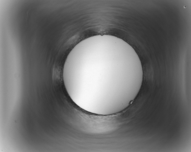 X0000103910044200809261619