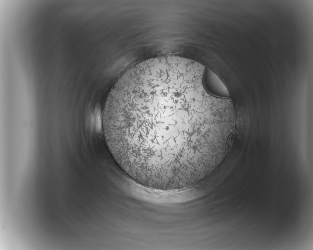 X0000103910046200809261619