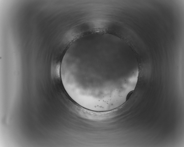 X0000103910047200809261619