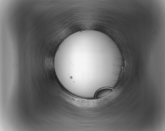 X0000103910048200809261619