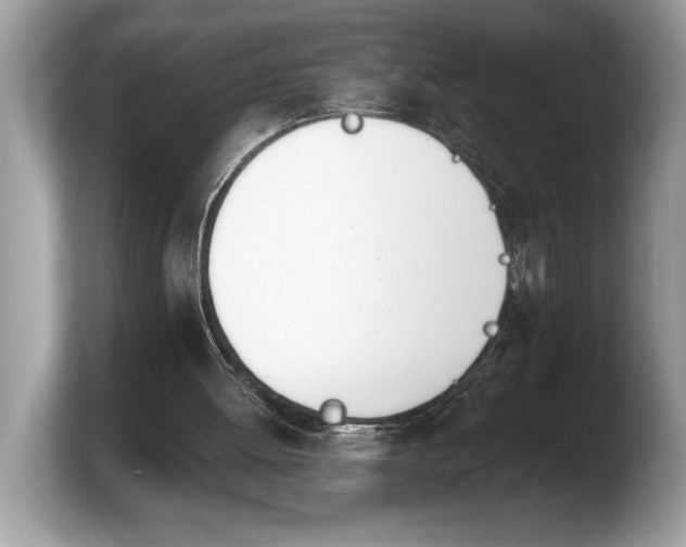 X0000103910052200809261618