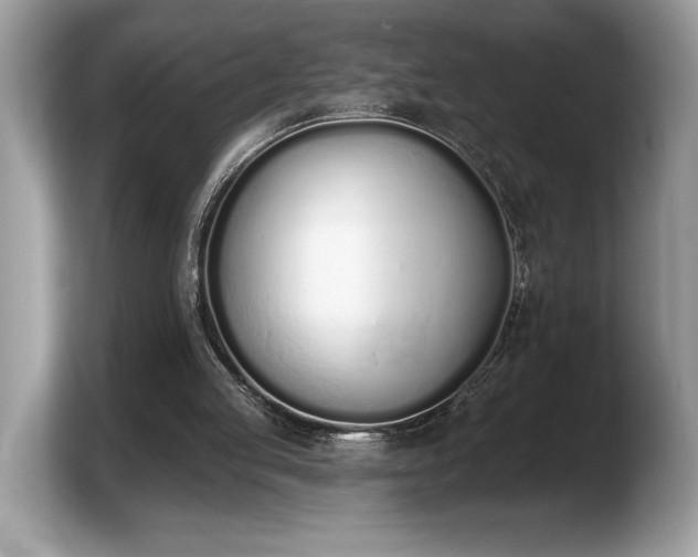 X0000103910053200809261618