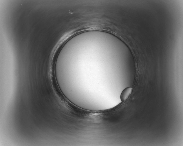 X0000103910055200809261618