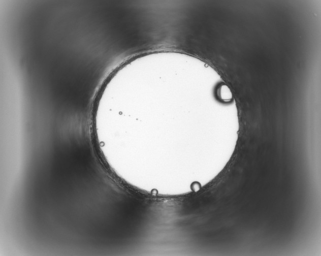 X0000103910056200809261618