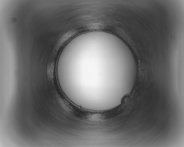 X0000103910058200809261618