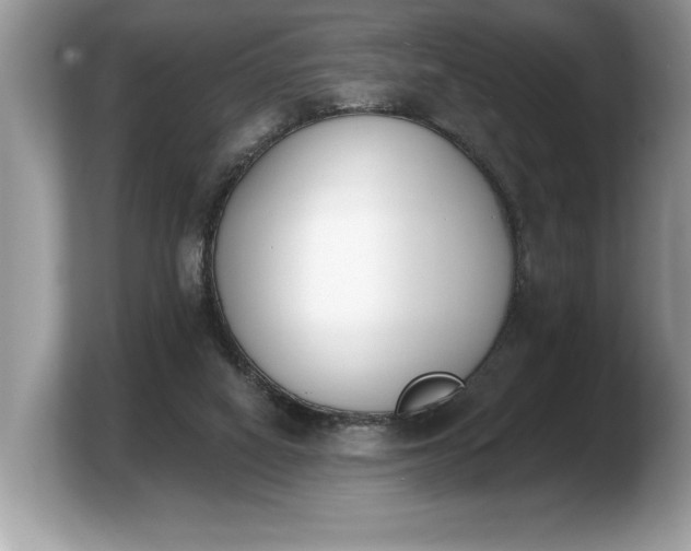 X0000103910066200809261618