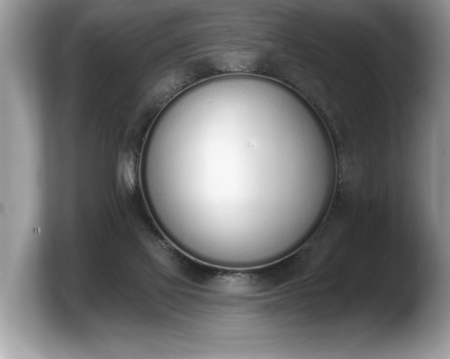 X0000103910069200809261618