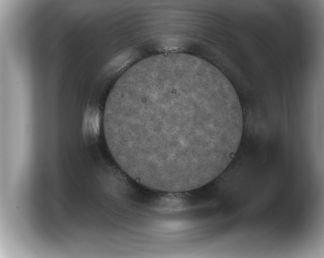 X0000103910076200809261618