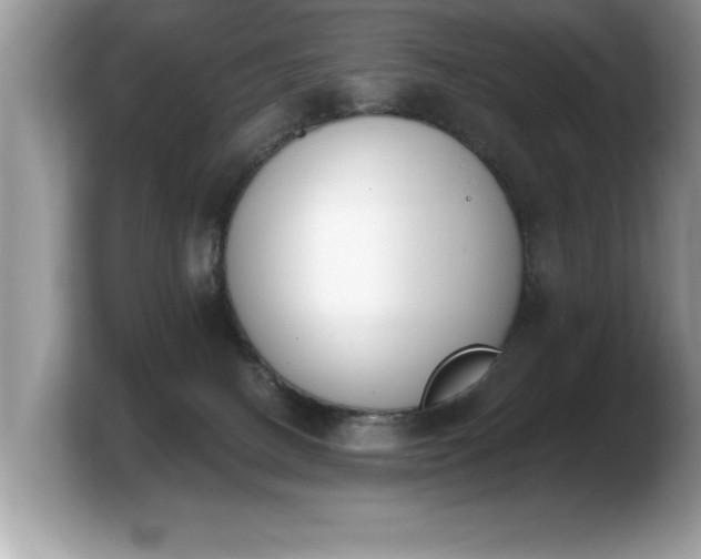 X0000103910082200809261619