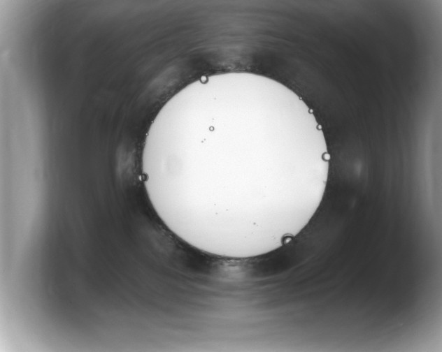 X0000103910088200809261619