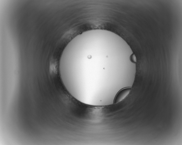X0000103910090200809261619