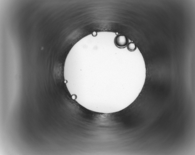 X0000103910092200809261619
