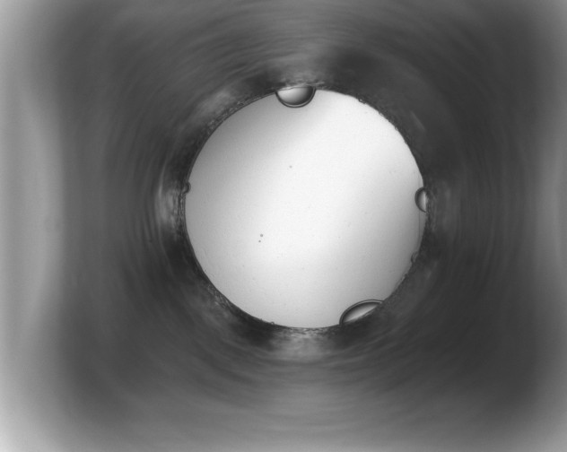 X0000103910093200809261619