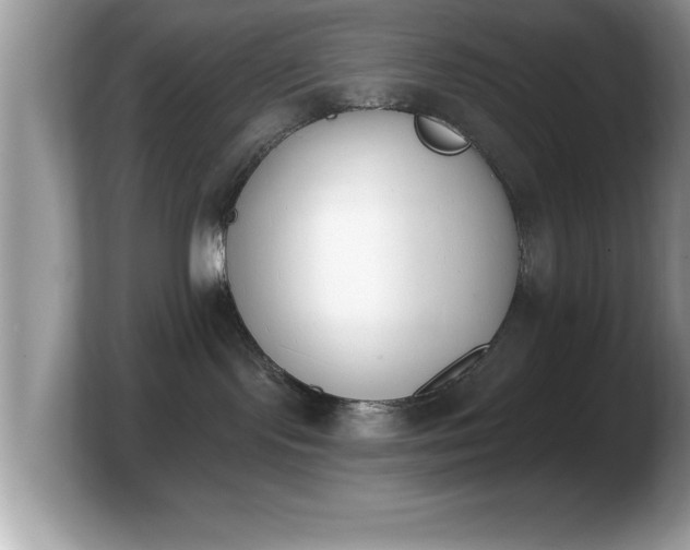 X0000103910095200809261619