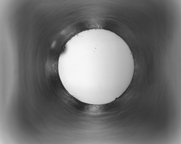 X0000103910096200809261619