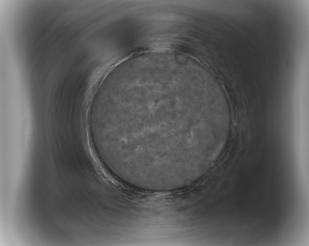 X0000103910097200809261618