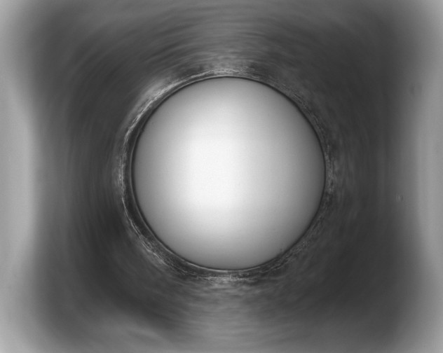 X0000103910098200809261618