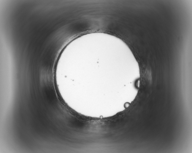 X0000103910100200809261618