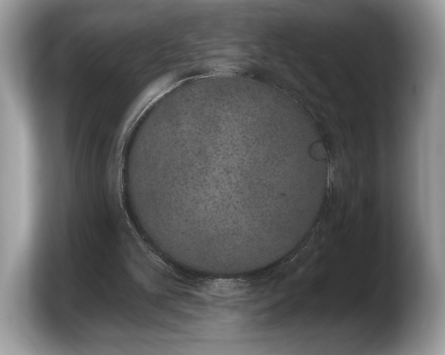X0000103910101200809261618