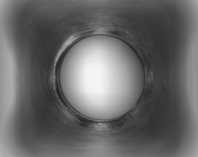X0000103910102200809261618