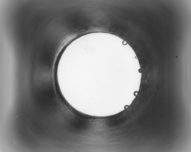 X0000103910104200809261618