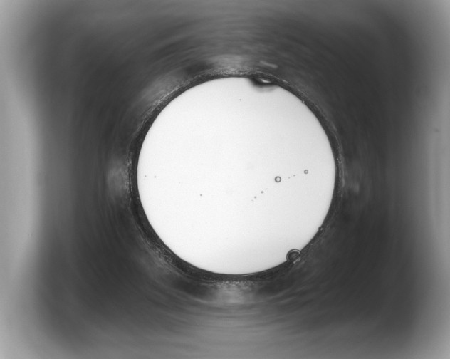 X0000103910105200809261618