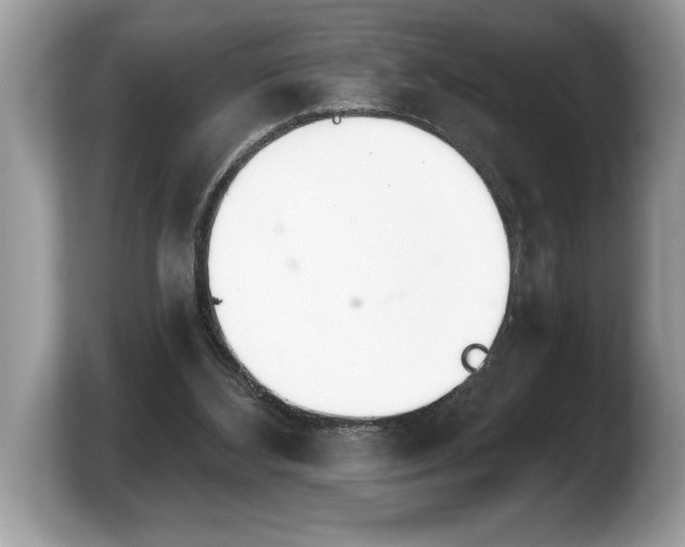 X0000103910108200809261618