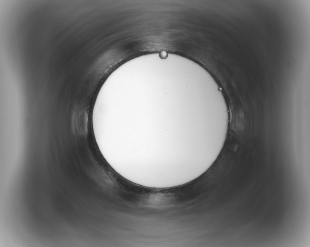 X0000103910109200809261618