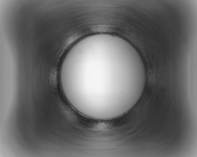 X0000103910111200809261618