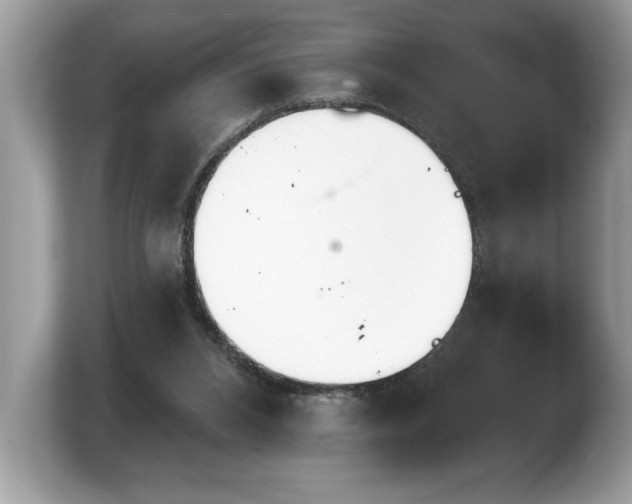 X0000103910112200809261618