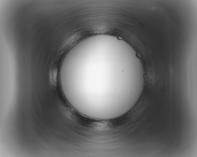 X0000103910118200809261618