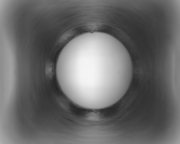 X0000103910119200809261618