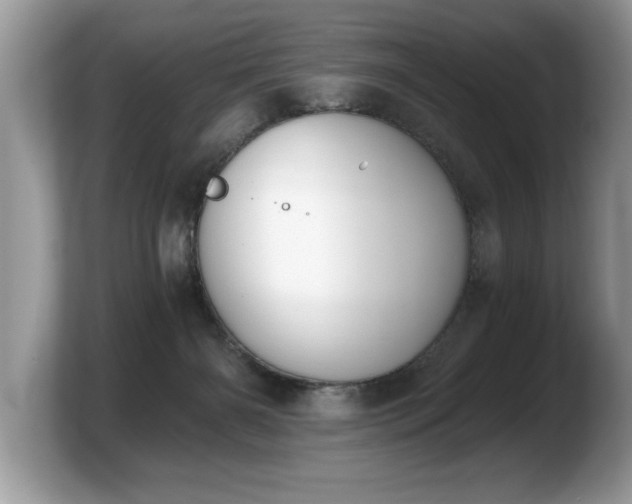 X0000103910126200809261618