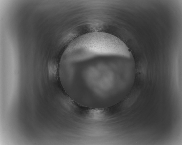 X0000103910139200809261618
