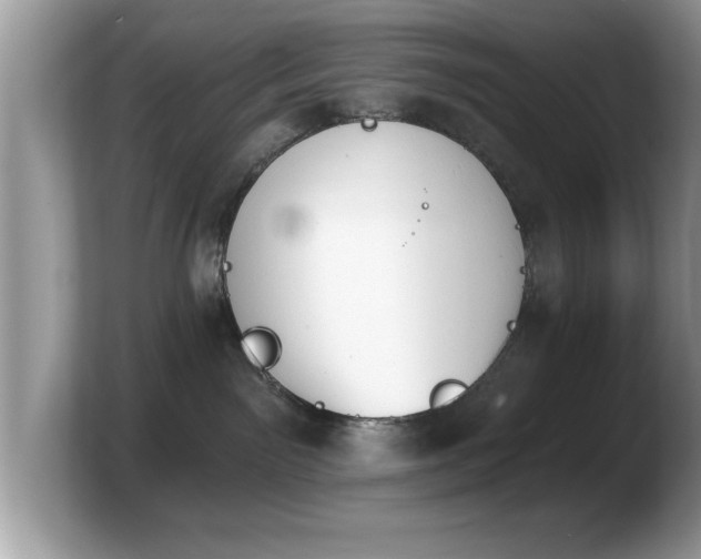 X0000103910141200809261618